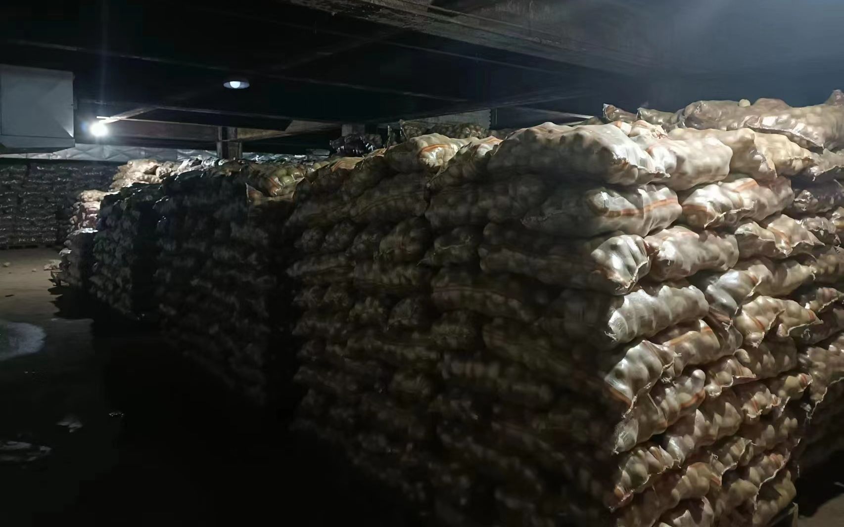 北京最大冬储菜基地：1.9万吨菜入库 随时保供市场